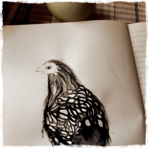 zeichnung huhn tulli