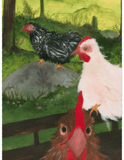 Drei Hühner sind frei unterwegs in schwedischer Landschaft. Das braune im Vordergrund blickt den Betrachter direkt an. Von ihm ist nur der Kopf zu sehen. Dahinter sitzt das weiße Huhn auf der Lehne einer Bank. Das schwarz-weiße im Hintergrund läuft über einen grauen, flachen, grünlich bewachsenen Stein mit Blick nach links.