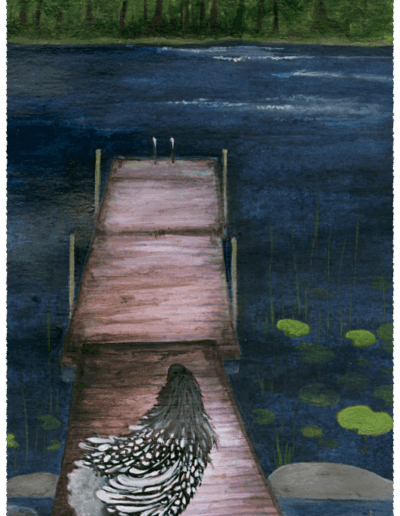 Ein schwarz-weißes Huhn steht am Anfang eines Holzsteges, der auf einen See hinaus führt. Im Hintergrund ist der See begrenzt von Wald, links und rechts des Steges sind im dunkelblauen Wasser Steine und Seerosenblätter zu sehen. Das Huhn schaut auf den See hinaus.