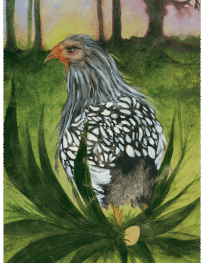 Ein schwarz-weißes Huhn hat ein Ei ins Grüne gelegt. Es ist uns mit dem Rücken zugewandt und schaut uns über seine linke Schulter hinweg an.