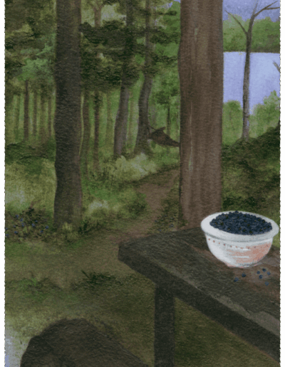 Auf dem Holztisch eines Rastplatzes im Wald am See steht eine weiße Schüssel mit Heidelbeeren. Ein kleiner Weg führt hinunter zum See.