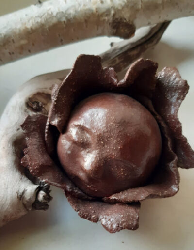 Der dunkle, kahle, runde Kopf eines kleinen Menschen ist umrandet von Blütenblättern im selben Ton. Die Augen sind geschlossen.